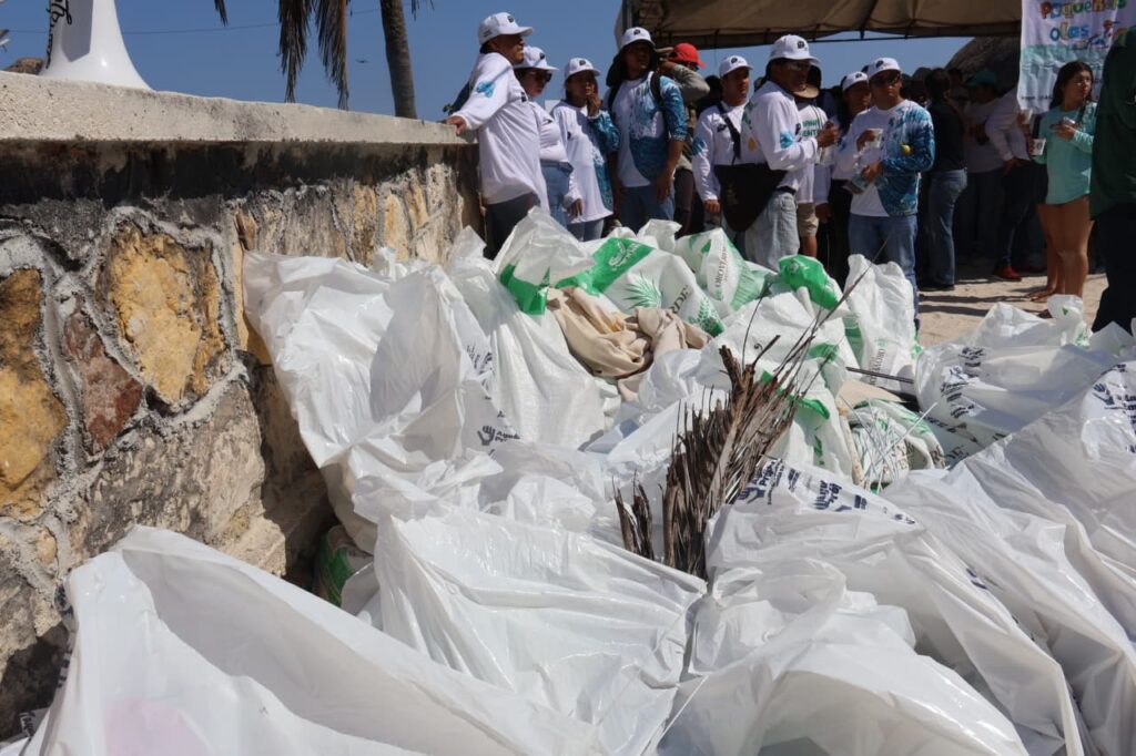 Gobierno de Yucatán sanea Playa Cerditos como parte del programa de limpieza costera en Progreso