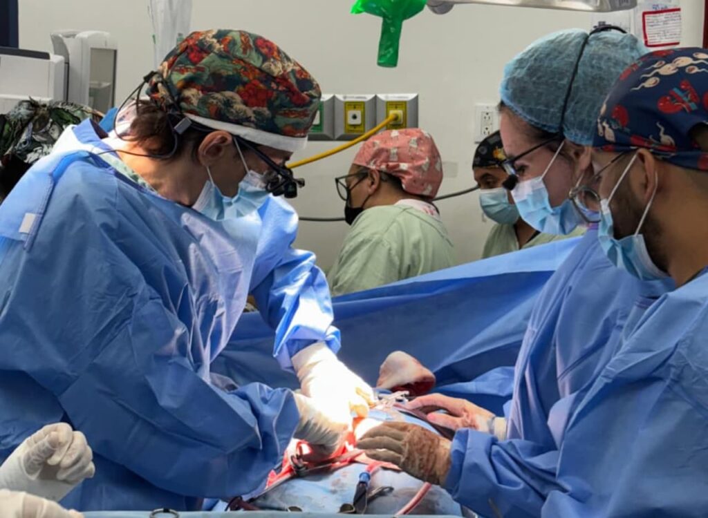 Donación multiorgánica en Yucatán da nueva esperanza de vida a pacientes en espera de trasplante/ Gobierno de Yucatán
