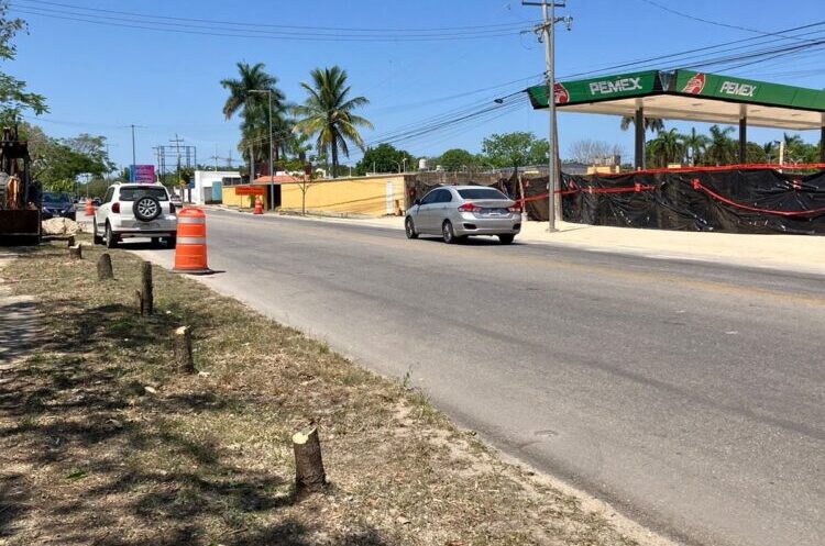 Ayuntamiento de Mérida aplica multa histórica de casi 600,000 pesos a gasolinera por la tala de Maculís en Cholul