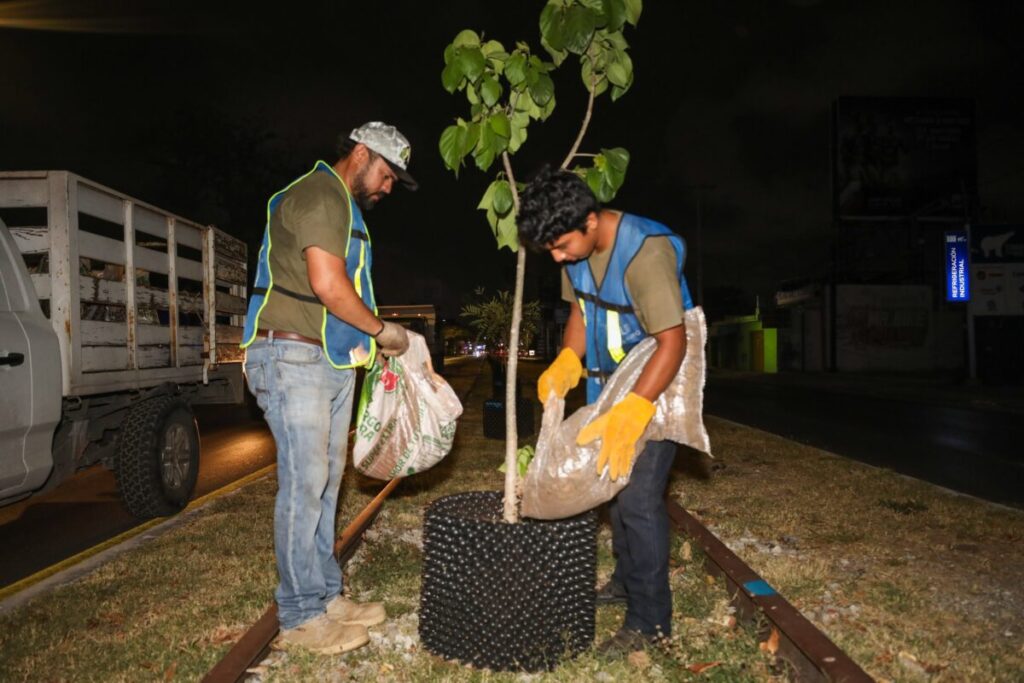 Cecilia Patrón Laviada reafirma compromiso con proyecto ambiental “Herencia Maya” para preservar Cuxtal y el futuro de Mérida
