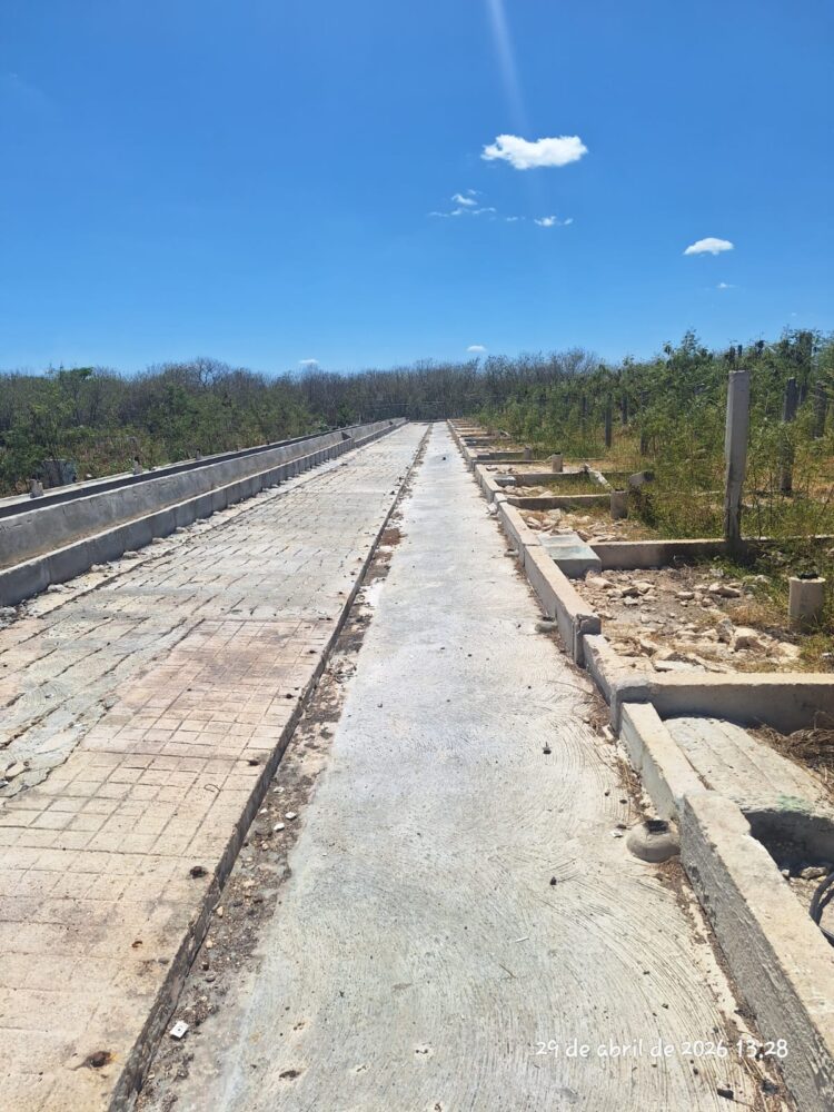 Profepa cierra granja porcícola en Santa María de Mérida, tras retiro de más de 41 mil cerdos