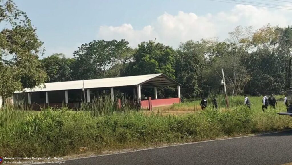 Reportan caída de avioneta en Palizada, Campeche; autoridades despliegan operativo de búsqueda