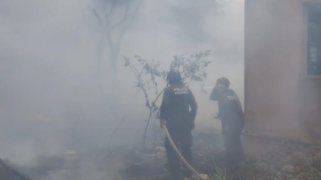 Incendio provocado en Kanasín moviliza a cuerpos de emergencia; hay un detenido