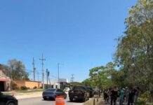 Ayuntamiento de Mérida aplica multa histórica de casi 600,000 pesos a gasolinera por la tala de Maculís en Cholul