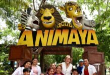 Animaya celebra 16 años como espacio clave para la convivencia y aprendizaje en Mérida / Cecilia Patrón Laviada