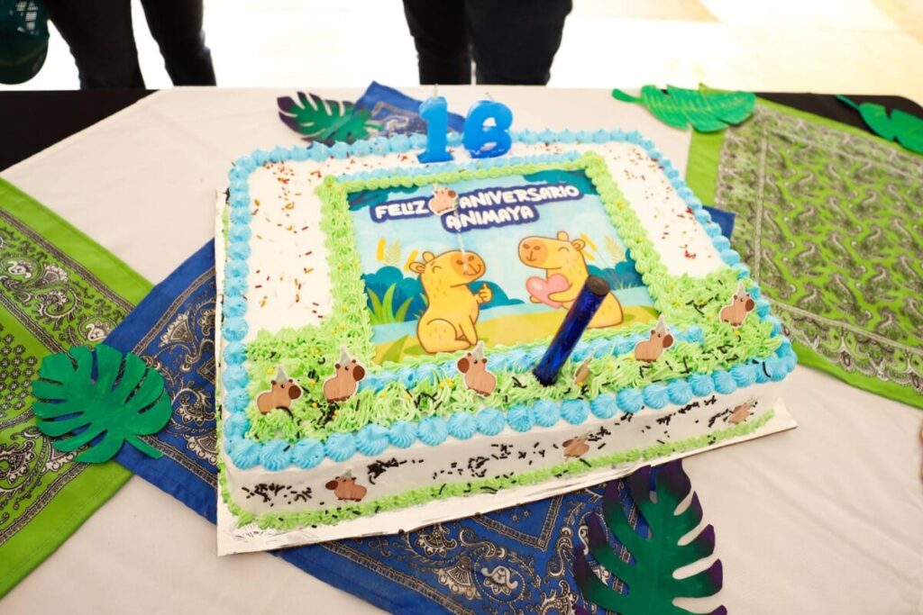 Animaya celebra 16 años como espacio clave para la convivencia y aprendizaje en Mérida / Cecilia Patrón Laviada
