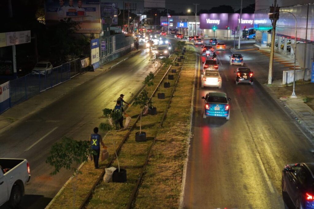 Arborización tecnológica Air-Pot Mérida Cecilia Patrón 2026.