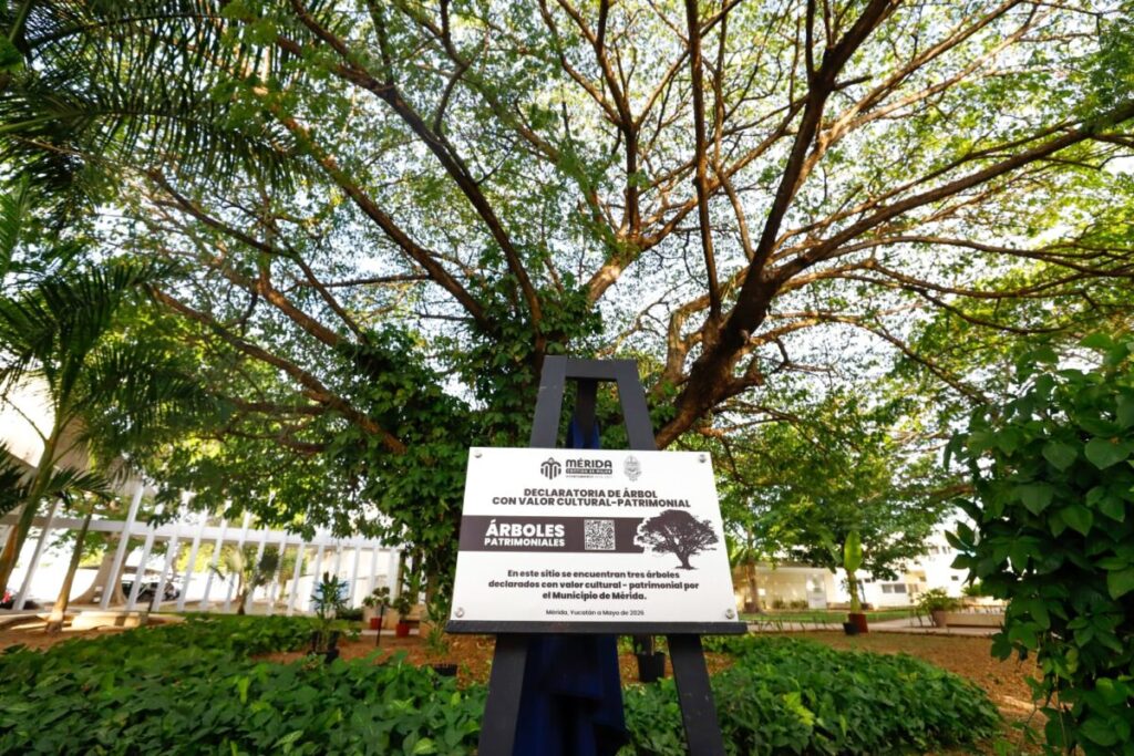 Mérida fortalece la protección ambiental con 174 Árboles Patrimonio Verde / Cecilia Patrón Laviada