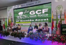 Yucatán impulsa la bioeconomía forestal y el financiamiento climático