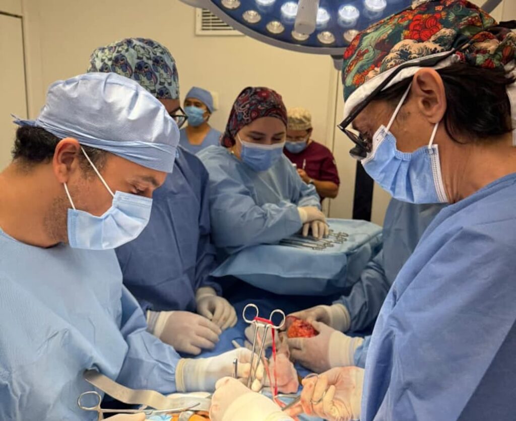 Donación multiorgánica en Yucatán da nueva esperanza de vida a pacientes en espera de trasplante/ Gobierno de Yucatán