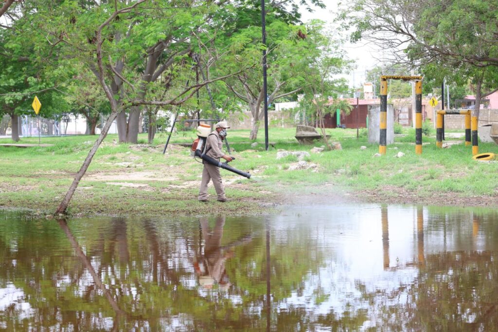 ¡Cerco Sanitario! Protegen Paseo Verde y Henequenes con masiva abatización  mosquito