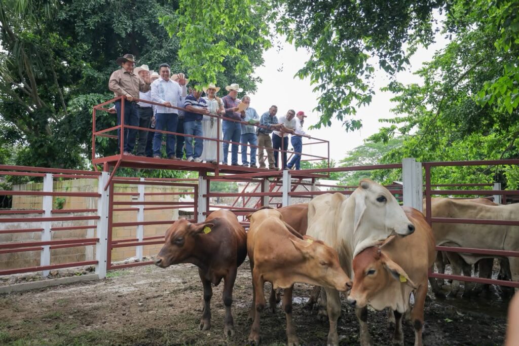 Tekax: Vivienda, educación y apoyo al campo