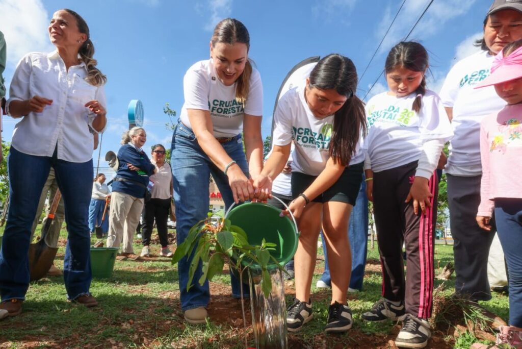 Cruzada Forestal: Así es el plan técnico del Ayuntamiento para reforestar las zonas con más calor en Mérida.