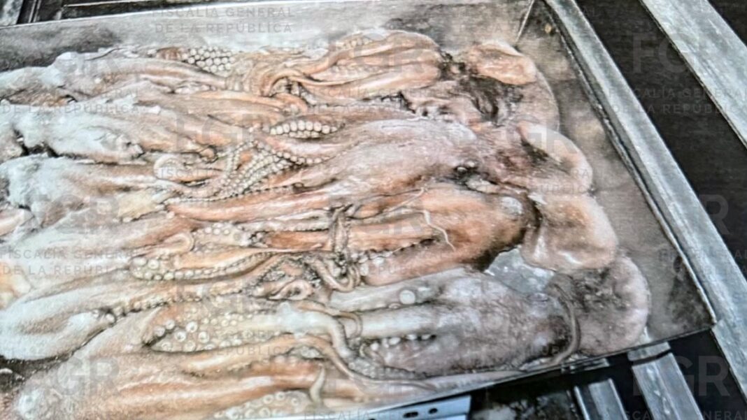 Aseguran embarcación y cargamento ilegal de pepino de mar y pulpo maya; hay 3 detenidos