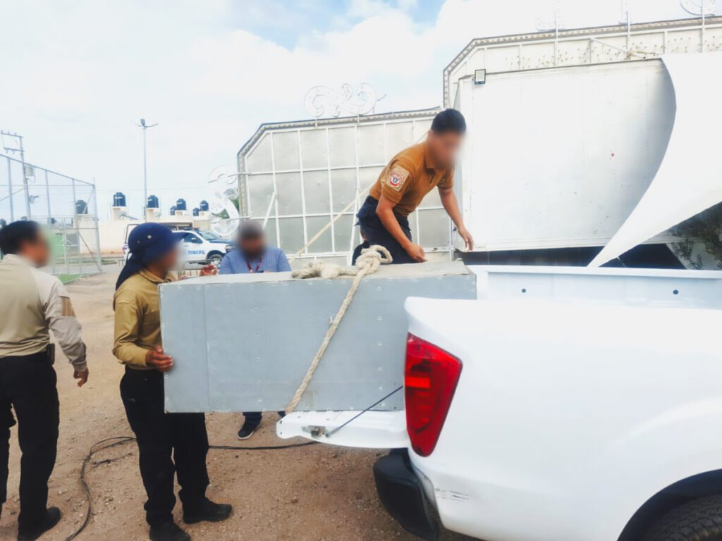 Rescatan a pitón birmana exhibida en un circo de Zacatecas / Profepa