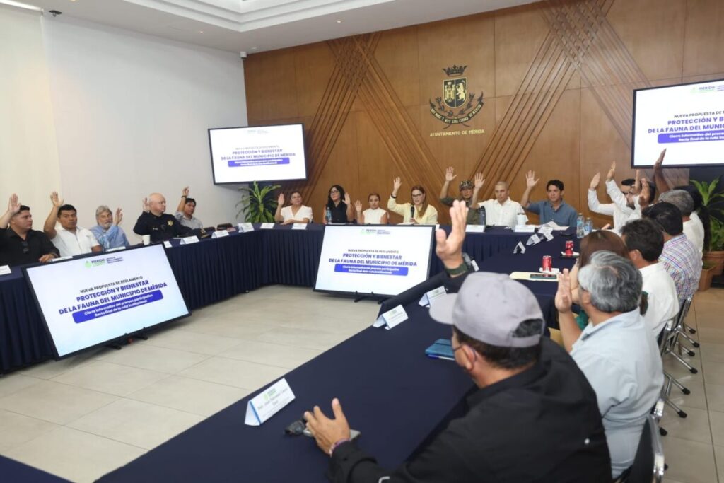 Cecilia Patrón fortalecerá la protección animal en Mérida con un nuevo Reglamento para el Bienestar de la Fauna