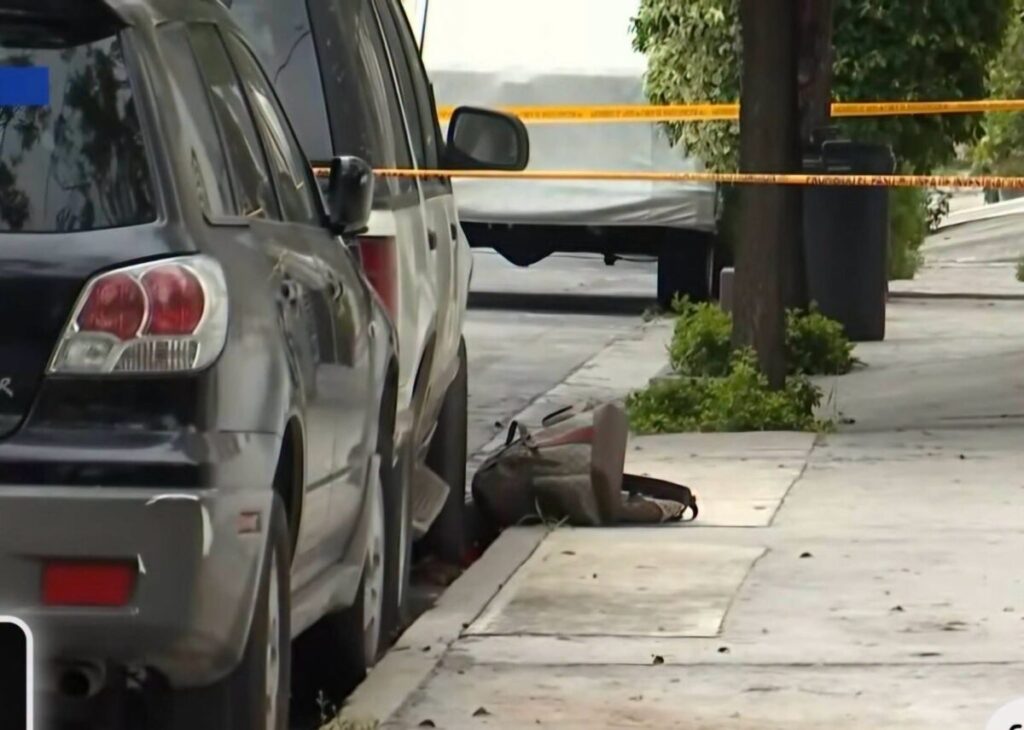 Karely Ruiz sufre intento de secuestro y robo con violencia en su domicilio de Nuevo León