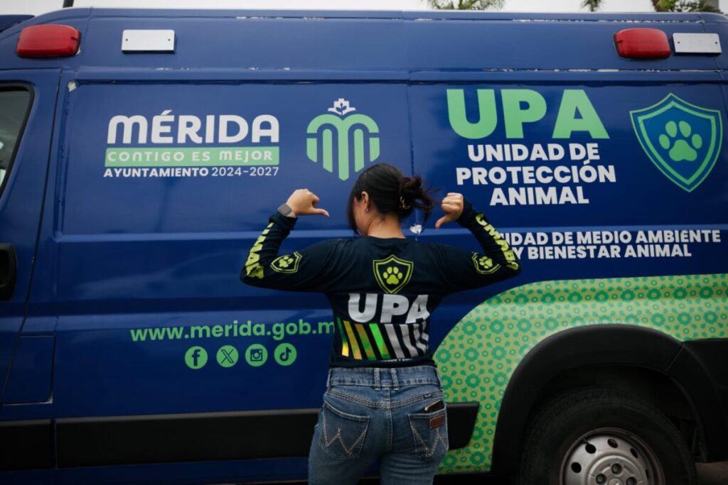Despliegan a 80 servidores públicos para atender más de 100 denuncias en Mérida