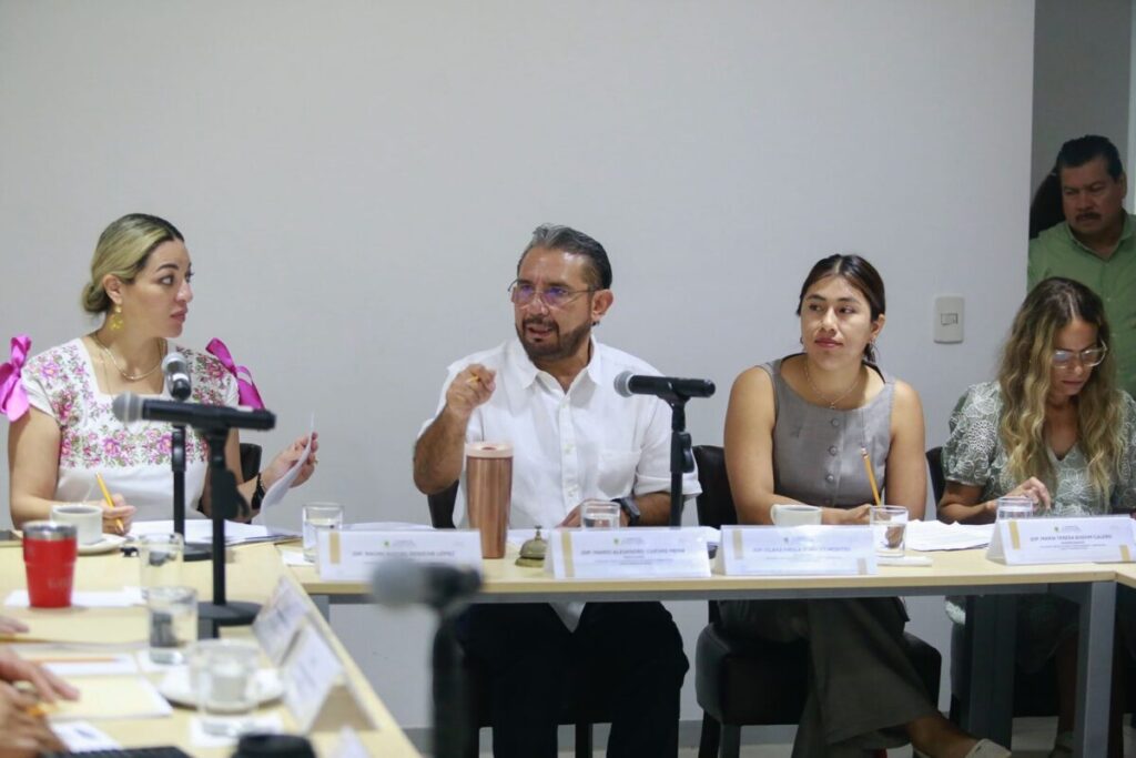 Comisiones unidas avanzan en el protocolo para escuchar a la comunidad con discapacidad."