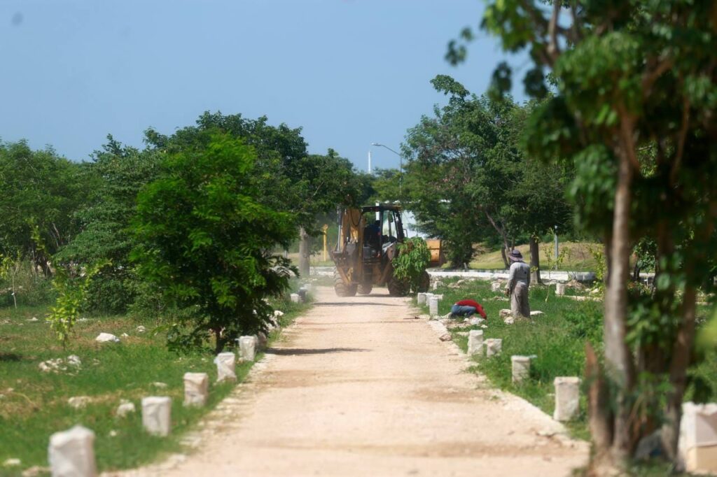Cecilia Patrón impulsa el primer Corredor Verde de Mérida con soluciones para prevenir inundaciones