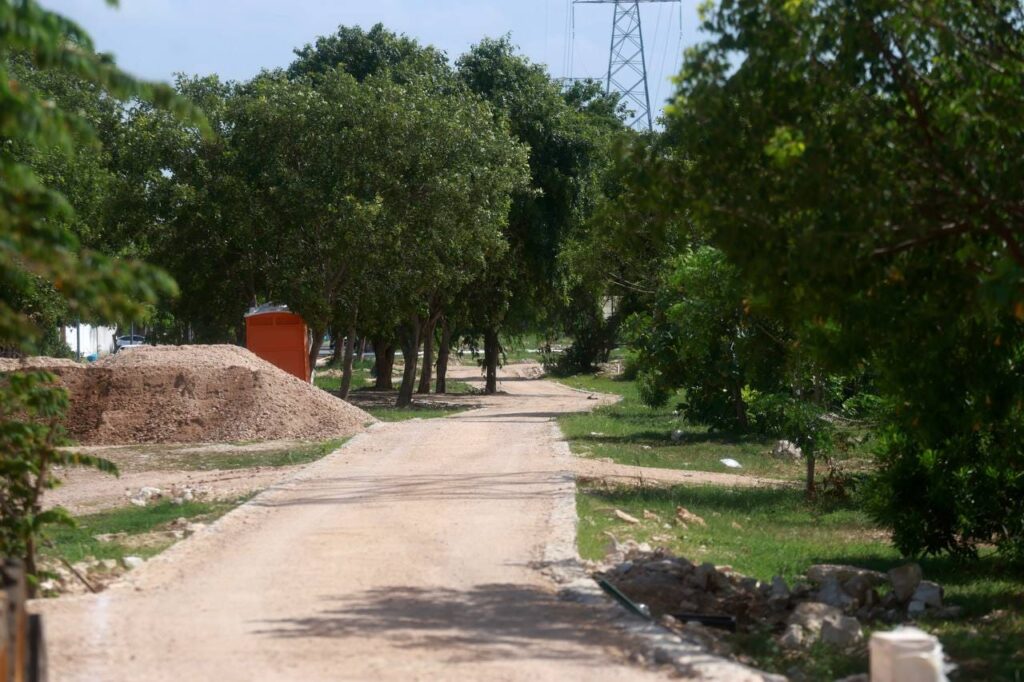 Cecilia Patrón impulsa el primer Corredor Verde de Mérida con soluciones para prevenir inundaciones