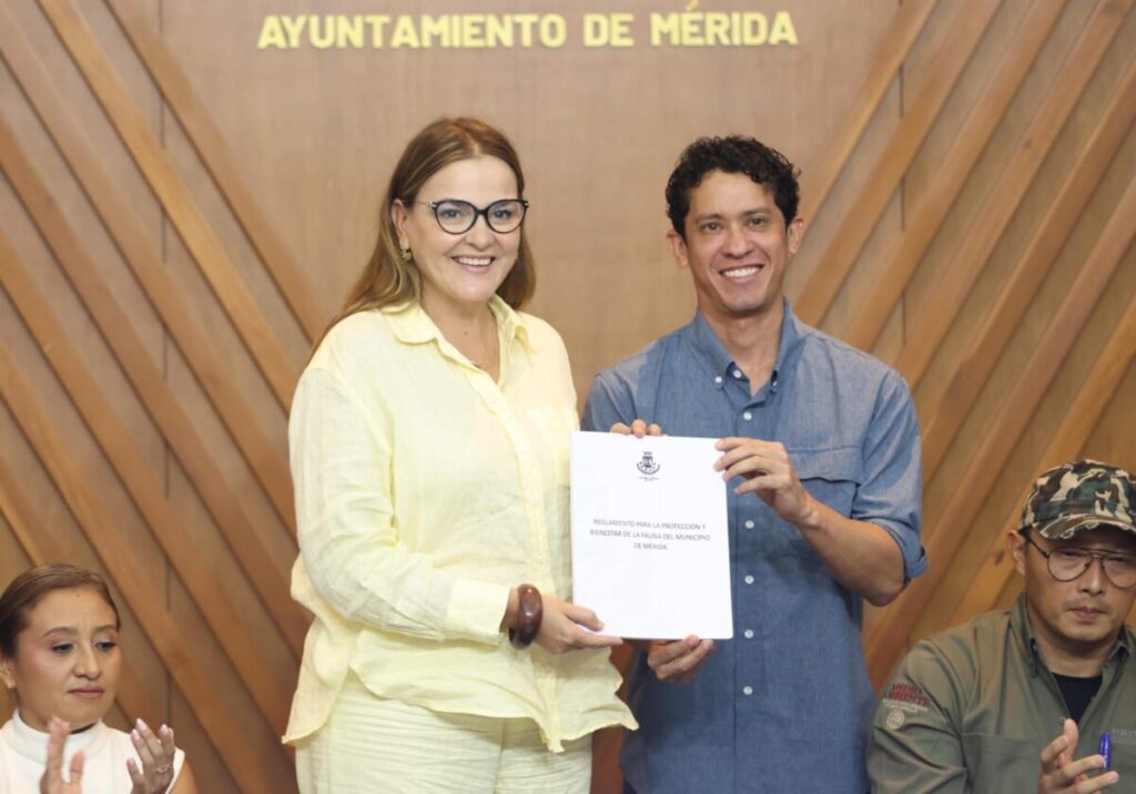 Cecilia Patrón fortalecerá la protección animal en Mérida con un nuevo Reglamento para el Bienestar de la Fauna