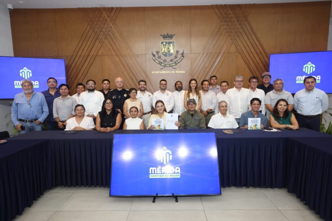 Cecilia Patrón fortalecerá la protección animal en Mérida con un nuevo Reglamento para el Bienestar de la Fauna