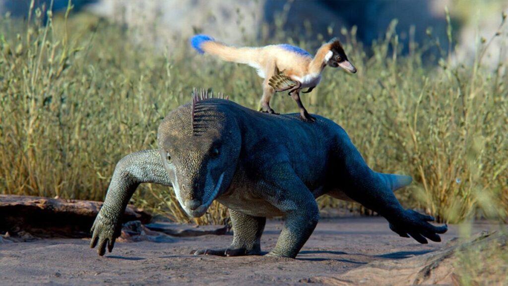 Descubren el fósil de Alnashetri cerropoliciensis, el "dinosaurio gallina" que revoluciona la paleontología