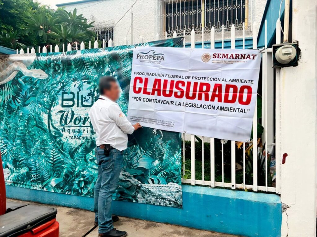 Clausura Profepa establecimiento en Chiapas y asegura tres reptiles