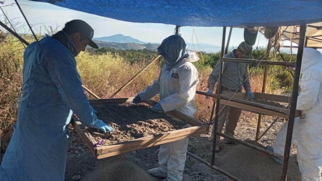 Reportan mil 600 dientes de leche en predio de Zacapu; autoridades aún buscan esclarecer su origen