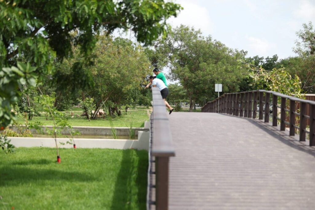 Inaugura Cecilia Patrón el primer corredor verde en su tipo en la historia de Mérida